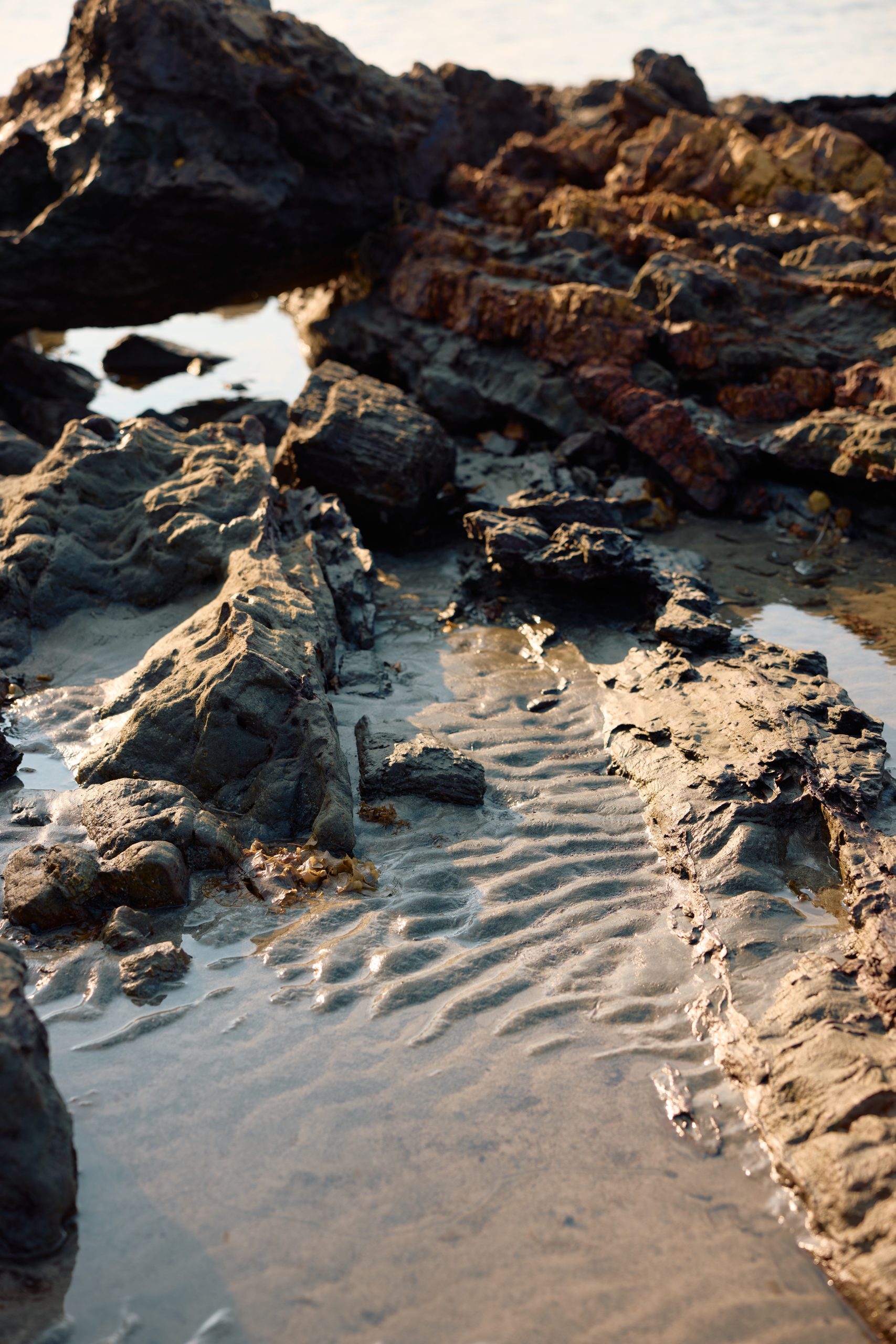 background_image_introduce